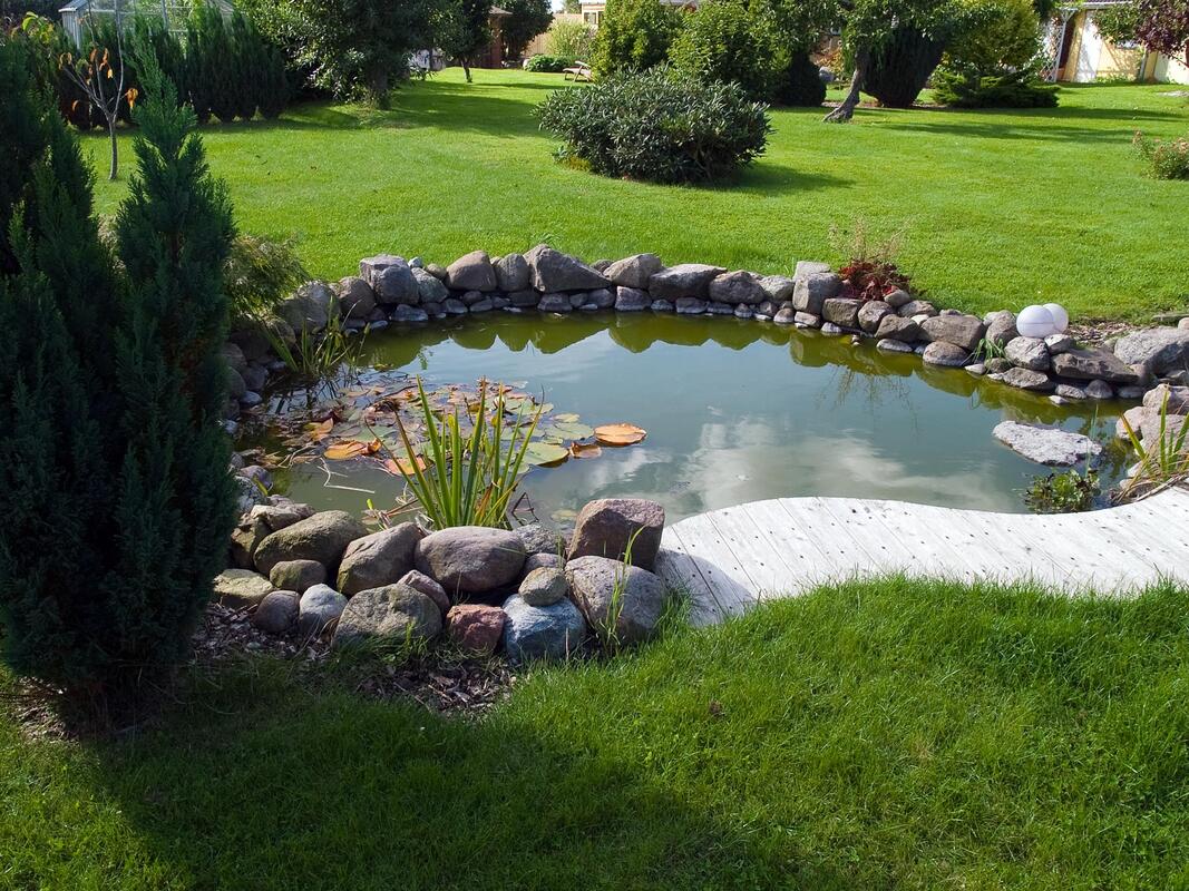 water features of lawn 
