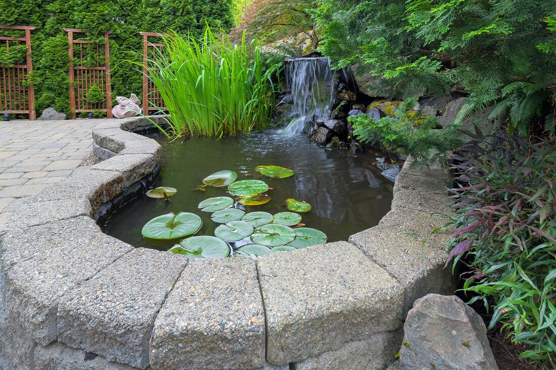 lawn water features lotus pond 